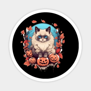 Ragdoll Cat Halloween, Cat Lover Magnet